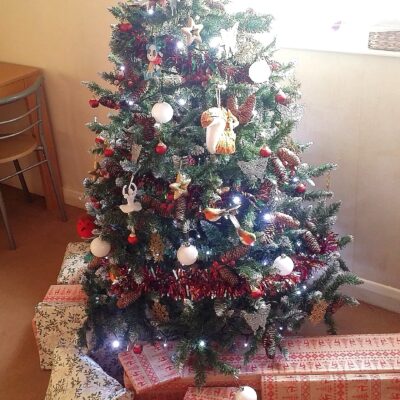 December 2015, photo of Ayrton, Gabrielle Abreu & daddy's decorated christmas tree surrounded by presents, in the living room with a dinning table at the back. This photo is part of a group that will help provide some perspective to layout & dimensions for their living room. This photo faces the front wall of the living room. Click on it to expand.