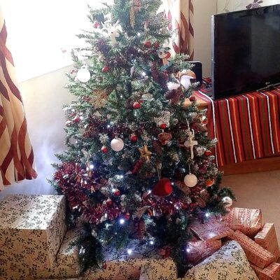 December 2015, photo of Ayrton, Gabrielle Abreu & daddy's decorated christmas tree surrounded by presents, in the living room with a TV & stand at the back. This photo is part of a group that will help provide some perspective to layout & dimensions for their living room. This photo faces the front wall of the living room. Click on it to expand.